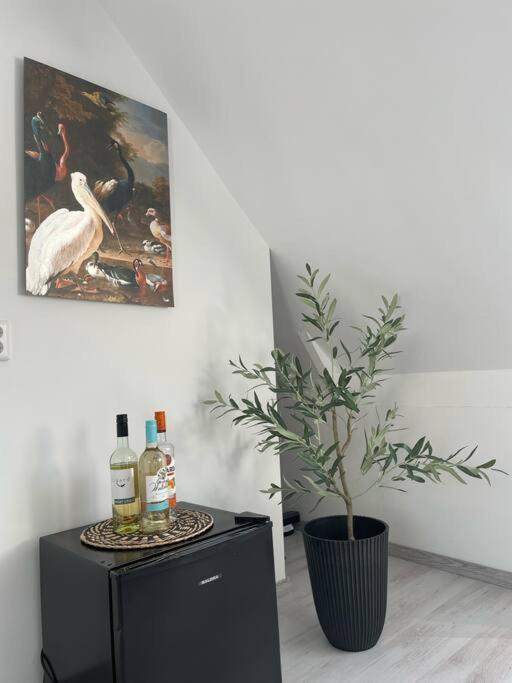 Appartement In Centrum Alkmaar Kültér fotó